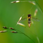 Chvílí si odpočinu