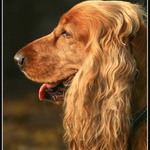 Už třetí pivo....