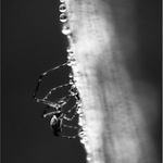 ...ale teď už jo...