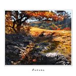 Podzim v Divoké Šárce