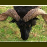 Sám ďábel....a neb dvoustranná vývrtka