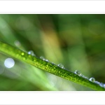 *** Klouzajdááá II. ***