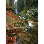 *** Černohorský potok ***