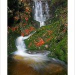 *** Černohorský potok  II.***