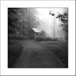 Návraty do veltruského parku XXXIV - u kapličky