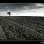 Poslední zůstává