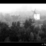 Šichtův mlýn za mlhavého dne