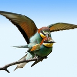 Drž se, poletíme! nebo je to jinak? ;-)