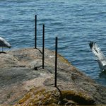 Swerige 2008 - Race k II.