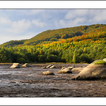 ráno u vypuštěného rybníku