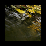 *podzimní obrázek z kašny*