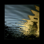 ...vodní hrátky v kašně...