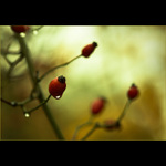 ...kouzlo podzimu...