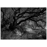 ...Cestou klikatou...