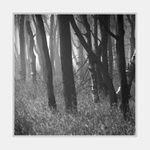 Náhradní program I... :-)