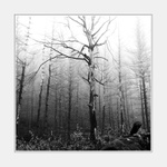 Náhradní program II... :-)