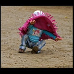 Zakynthoská čertice