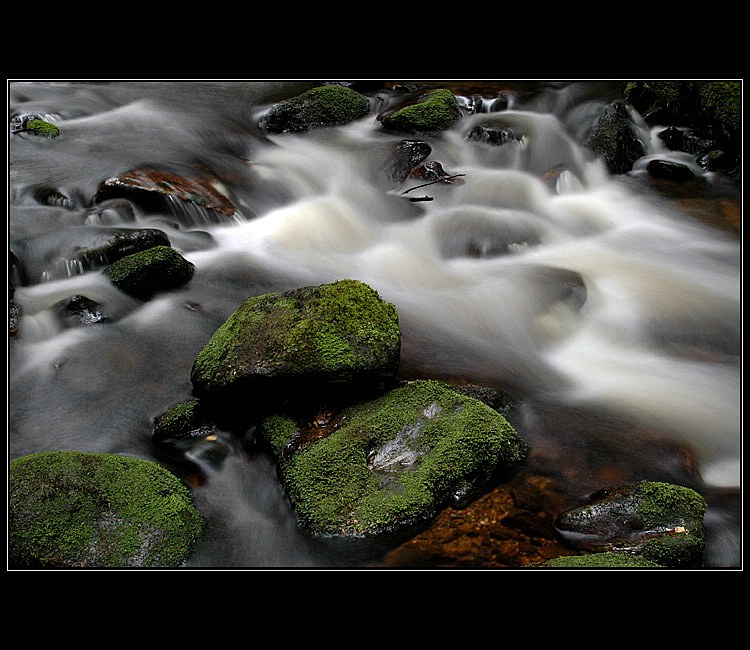 Mechové polštářky