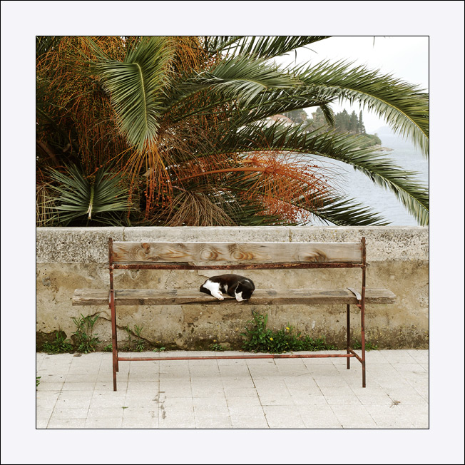 Obrázky z Korčuly II