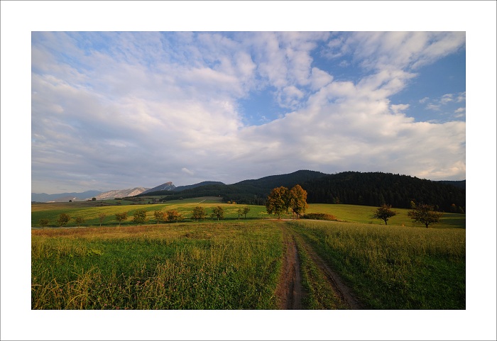 Višňovská