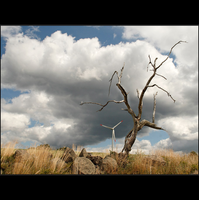 Jiné šumění listů