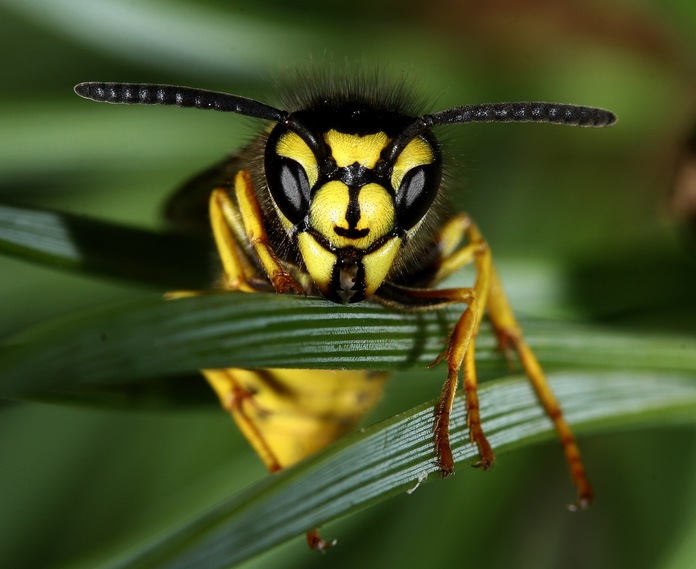 uf, už nemužu