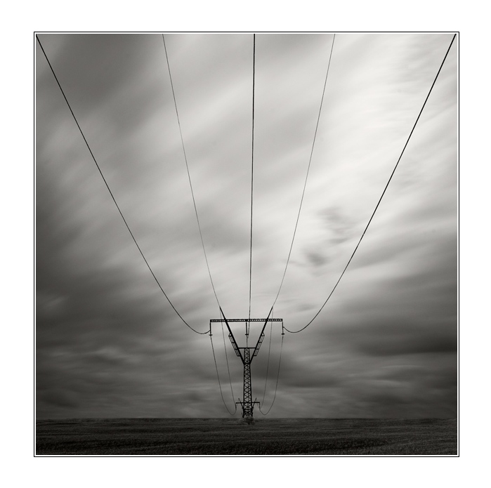 lines
