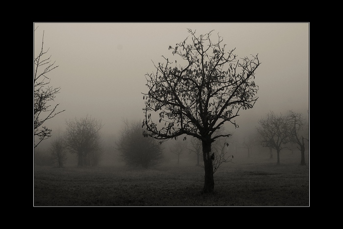 Dušičková depkárna :-)