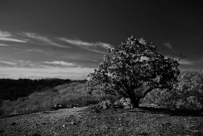 alone