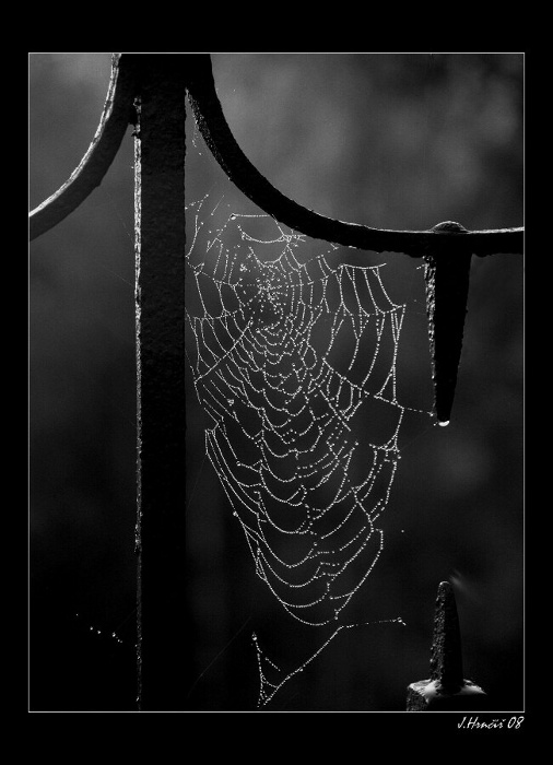 V objetí kovu