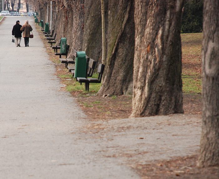 park