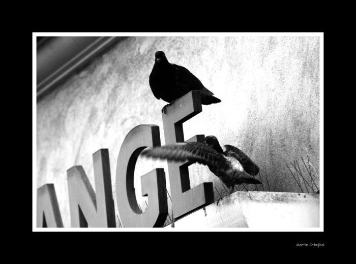 Moulin Rouge