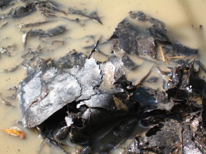 z kaluzee a do blataa:)