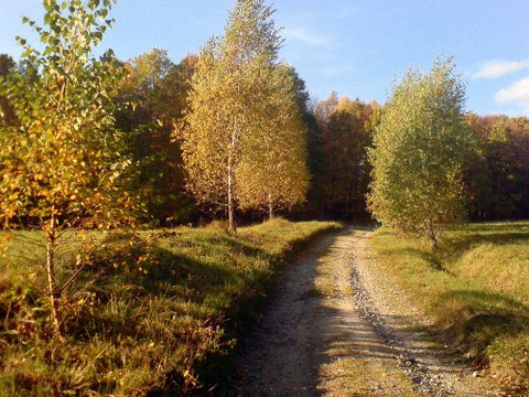 jesenná idyla