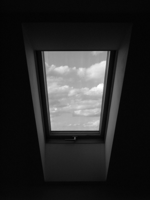 Window