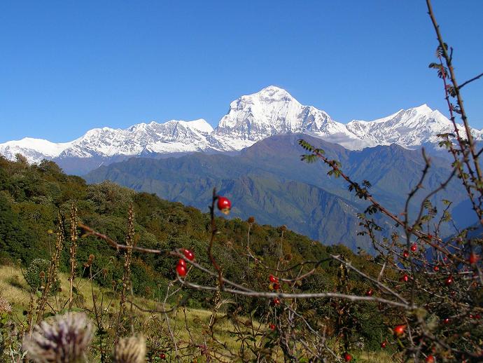Dhaulagiri - Nepal
