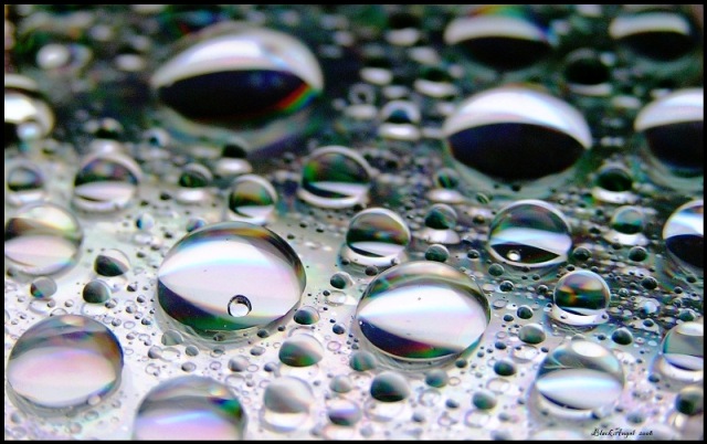 H2 O
