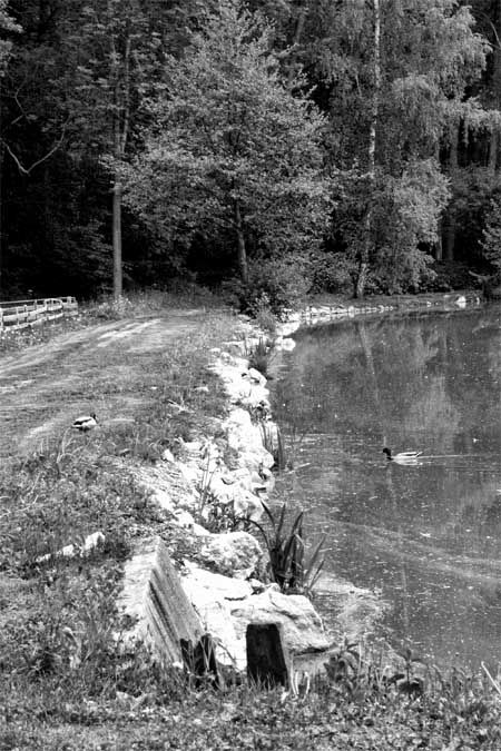 A láska začala ...