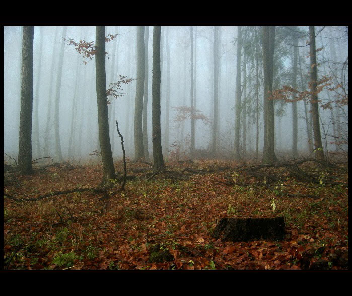 mlha stokrát jinak 031