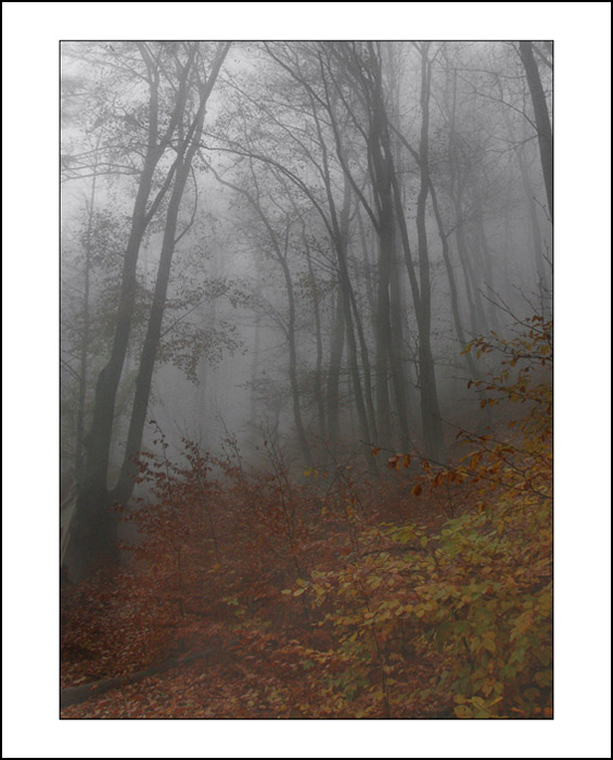 Podzimní melancholie
