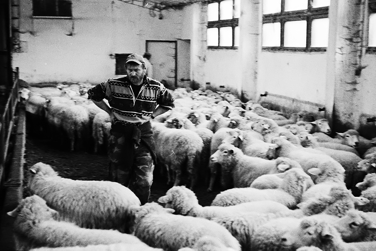 Orava IV