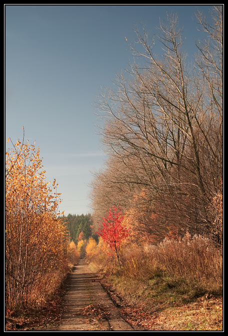 Podzimní stezkou