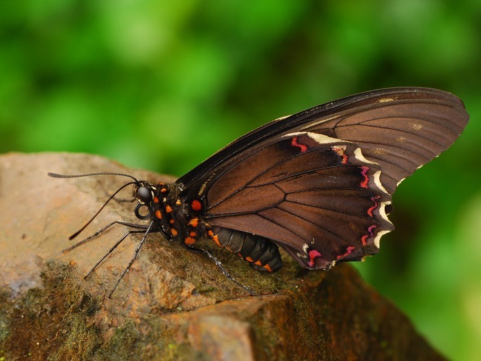 sedím si na kameni a je mi dobre