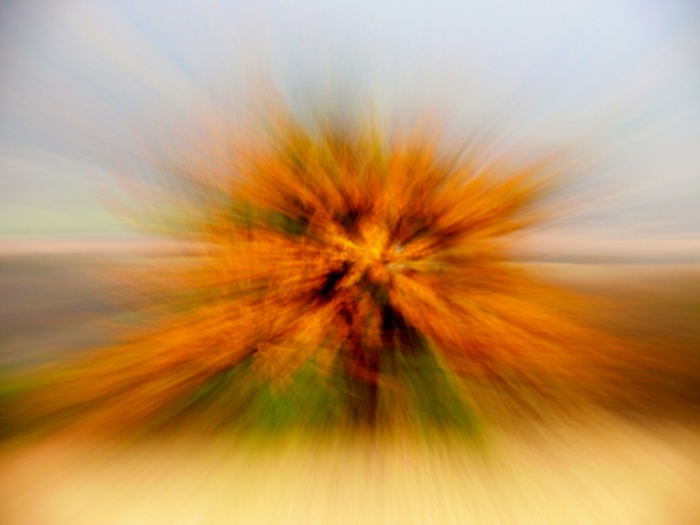 experiment