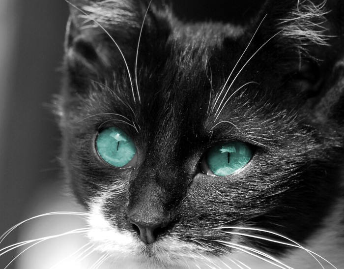 Blue eyes