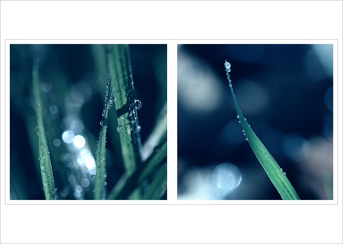 *** Kouzelné ráno ***