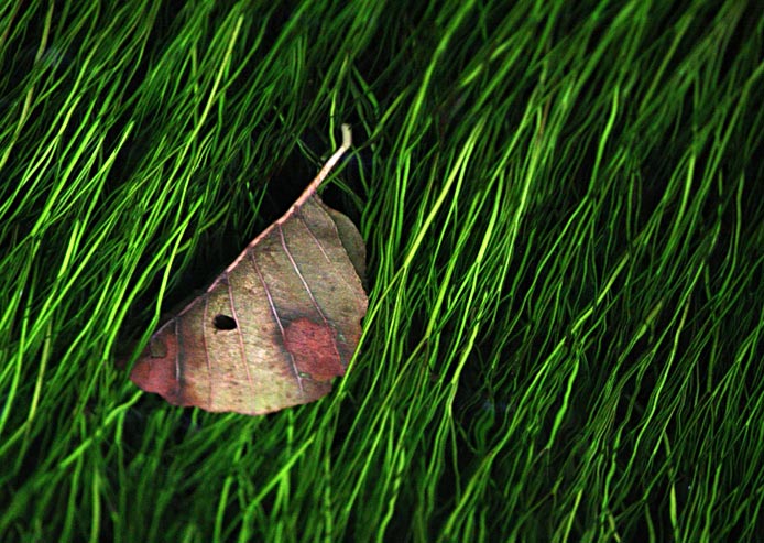 spona ve vlasech říčky Loučky