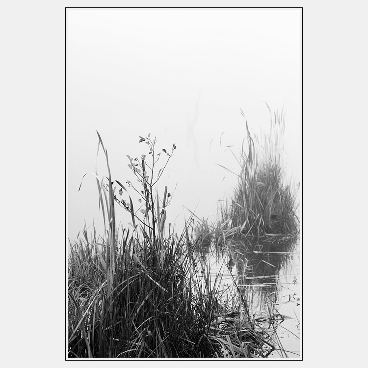 Smutná krajina... III.