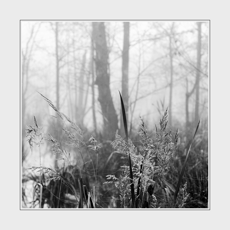 Smutná krajina ... IV.