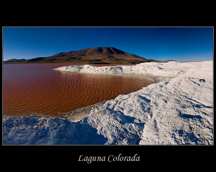 Laguna Colorada